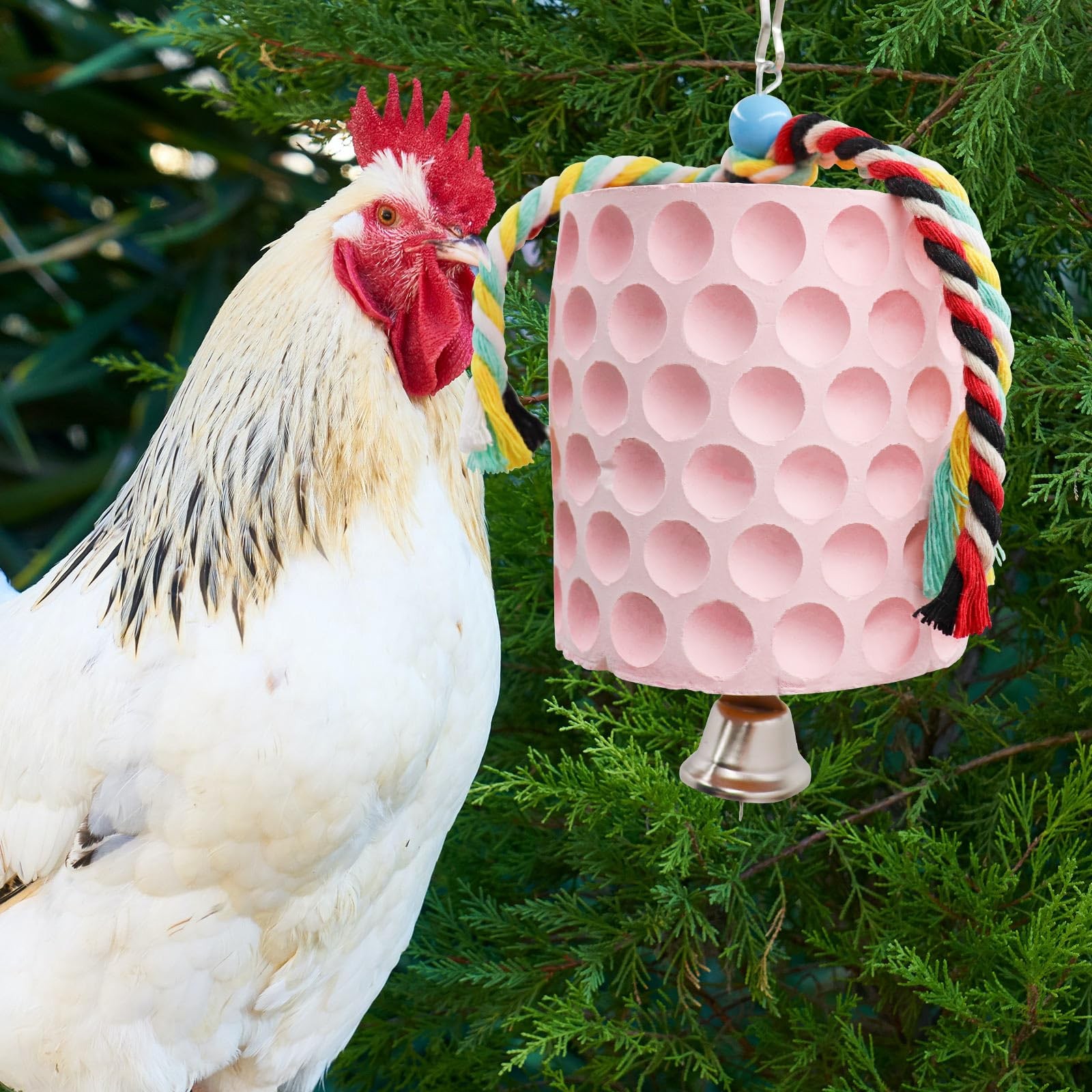 Chicken Coop Accessories, Chicken Beak Grinding Calcium Stone with Bell, Chicken