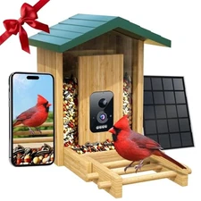 Smart Bird Feeder with Camera Solar-Powered, 5MP AI Identifies Birds Dark Green