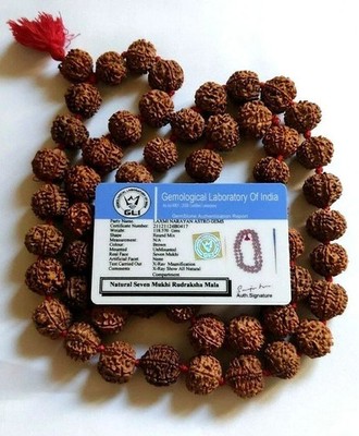 7 Mukhi Rudraksh Mala Laxmi Siddha Mala Maha Laxmi Mala 33 Perlen Nepal