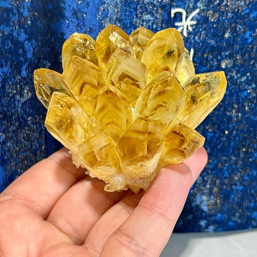 Yellow Crystal Cluster - Polished Flower Formation - 238G - Picture 13 of 15