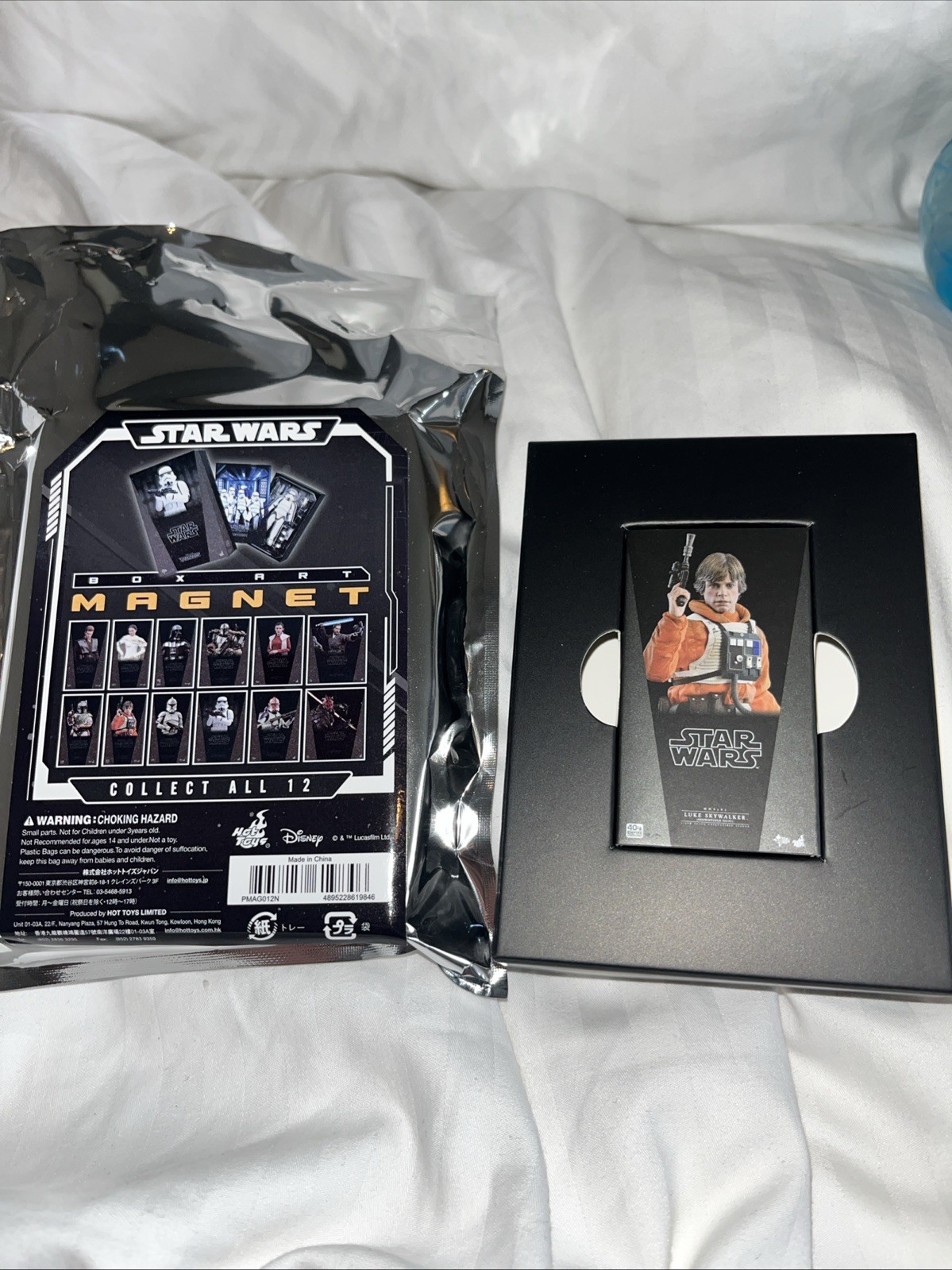 Hot Toys Star Wars Luke Skywalker 1&colon;6 Scale Box Art Magnet Celebration Japan