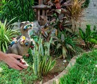 Funny Garden Decoration Figures, 25 cm Gnomes Climb Multiple Colors