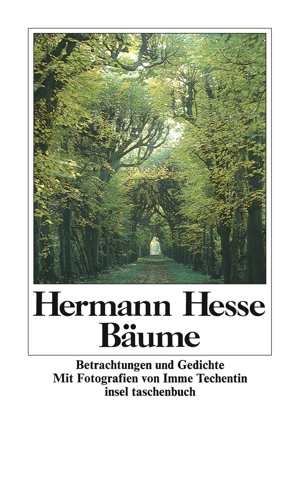 Thumbnail - Bäume Hermann Hesse