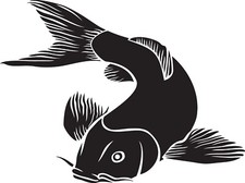 XXXL 30X30 cm Autoaufkleber Sticker Fisch Tier Aufkleber