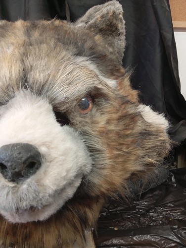 Rocket Raccoon Mask - Foto 5 di 9