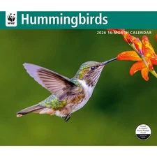 Carousel Calendars,  Hummingbirds WWF 2026 Wall Calendar, 12.01'' X 14.09'', 16-
