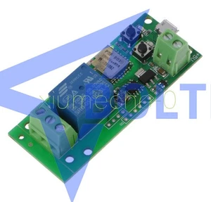 Interrupteur intelligent auto-bloquant WiFi Module de relais sans fil APP Contrôle USB