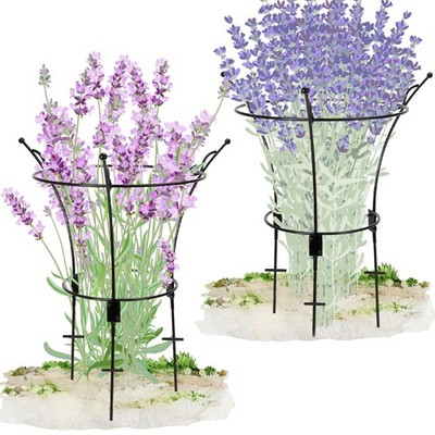 2 Pack Large Peony Cages and Supports,23.2'' H X 13.4'' D Metal Peony Rings,Tal...