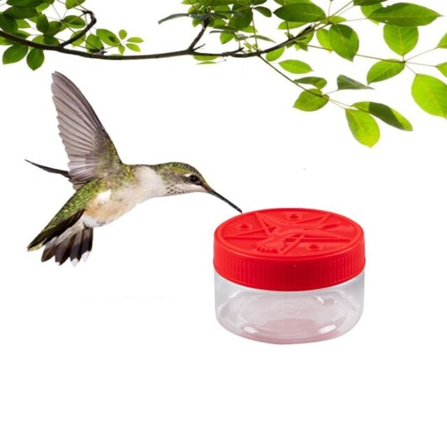 Food Container Window Bird Feeders Hummingbird Food Holder Hummingbird Feeders