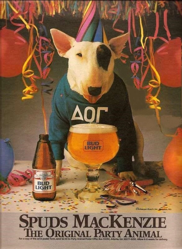 spuds mackenzie poster products for sale | eBay