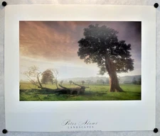 Oakmoor Evening by Peter Adams- New/Old Stock Vintage Poster Print,  1990