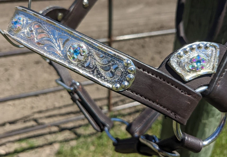 Halter Silver Show - Piedras Iridiscentes - Aceite Oscuro - Tamaño Caballo - Plomo a Juego Foto 4 de 4