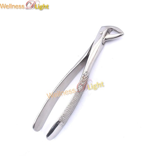 Dentale Becco Lungo Pinza Per Estrazione Dei Denti Radice Superiore - Foto 10