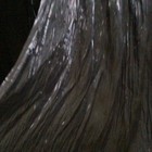 Bild 4 von 7