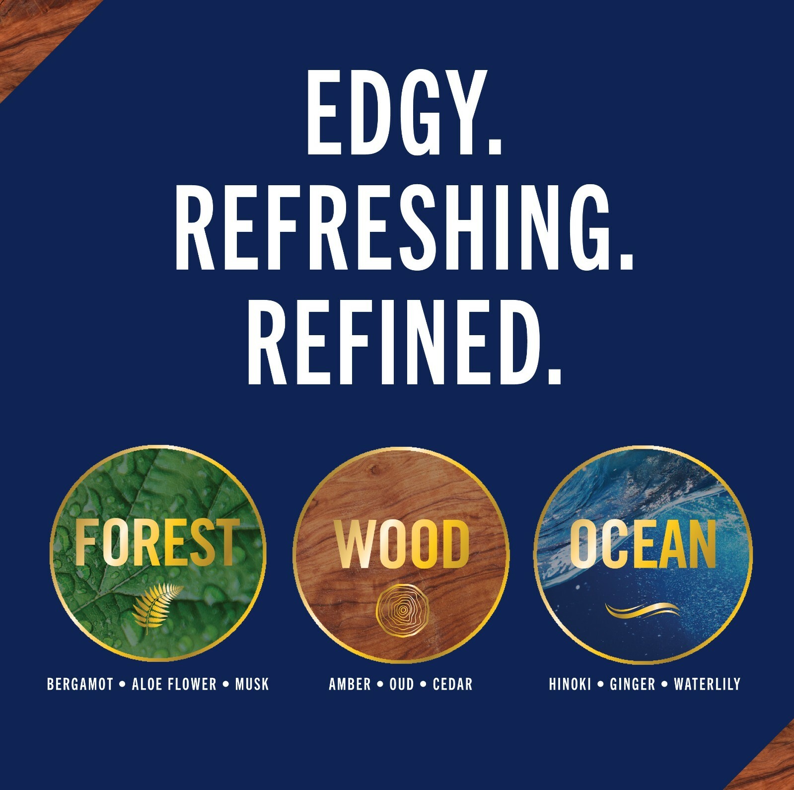 Febreze OdorEliminating Air Freshener Spray, Ocean, (8.8 oz., 2 ct) eBay