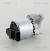 Triscan 881328008 Agr-Ventil FüR Fiat Peugeot CitroËN