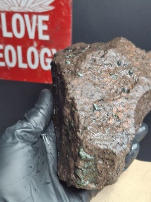 Poppies 3lb 5oz Rough Raw Basalt Greenstone Isle Royale Chlorastrolite In Matrix