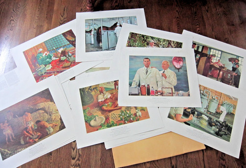 A History of Pharmacy in Pictures MCM Complete Set 40 Prints Parke Davis Medical