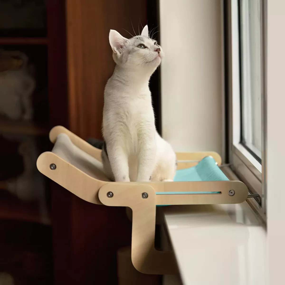 Cat window perch diy cheap