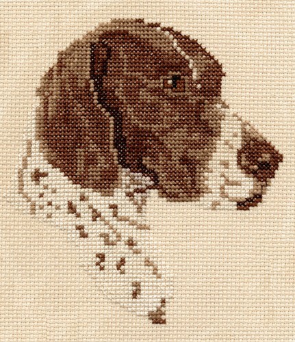Pegasus Originals German Shorthair Pointer Counted Cross Stitch Kit - 第 1/1 張圖片