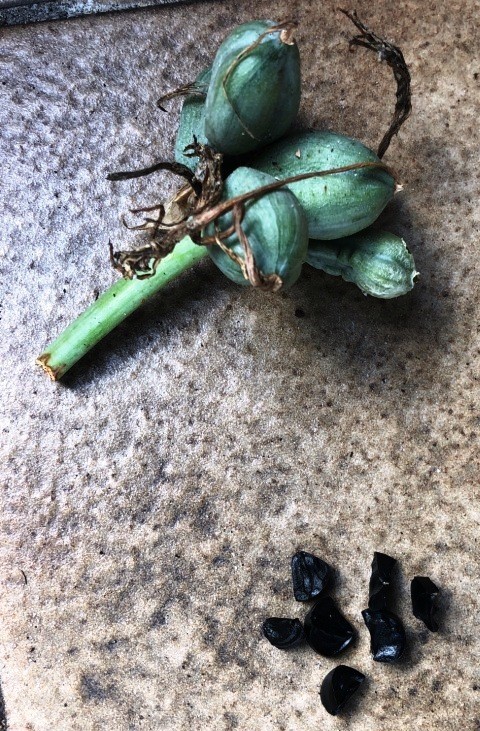 Bild 2 von 3