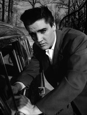 BEAUTIFUL ELVIS PRESLEY 8X10 Photo