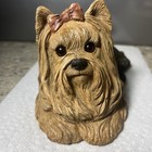 Foto 2 di 8