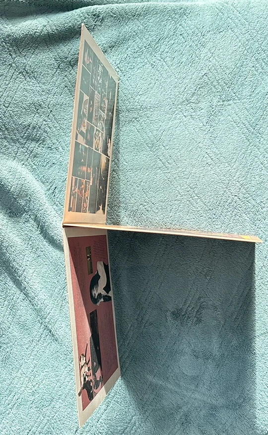 NEIL YOUNG DECADE 3 LP SET 3RS-2257 Mint 1976 Vinyl Records - Image 3 of 4