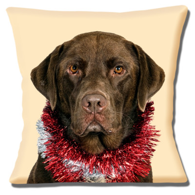 gray knit pillow