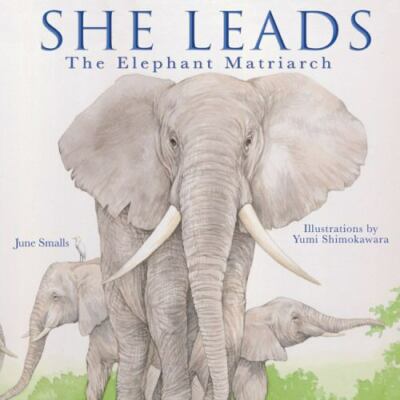 She Leads: The Elephant Matriarch by Smalls, June
