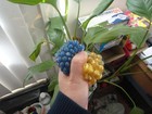 Bild 9 von 12