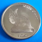 Stroma Island 1 pound 2019 UNC Maine Coon Cat - Isle of Stroma unusual coin