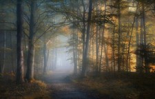 Landscape mist path fall forest leaves trees sunlight Custom Gaming Mat Desk