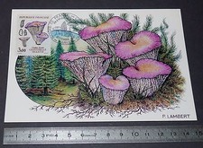CARTE POSTALE 1er JOUR PHILATELIE 1987 CHAMPIGNONS CHANTERELLE  MYCOLOGIE