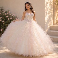 Mori Lee by Madeline Gardner Quinceanera Ball Gown Dress Size 12 Fairy Princess