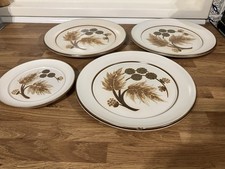 Vintage Denby Cotswold Dinner Plates Imperfect Condition