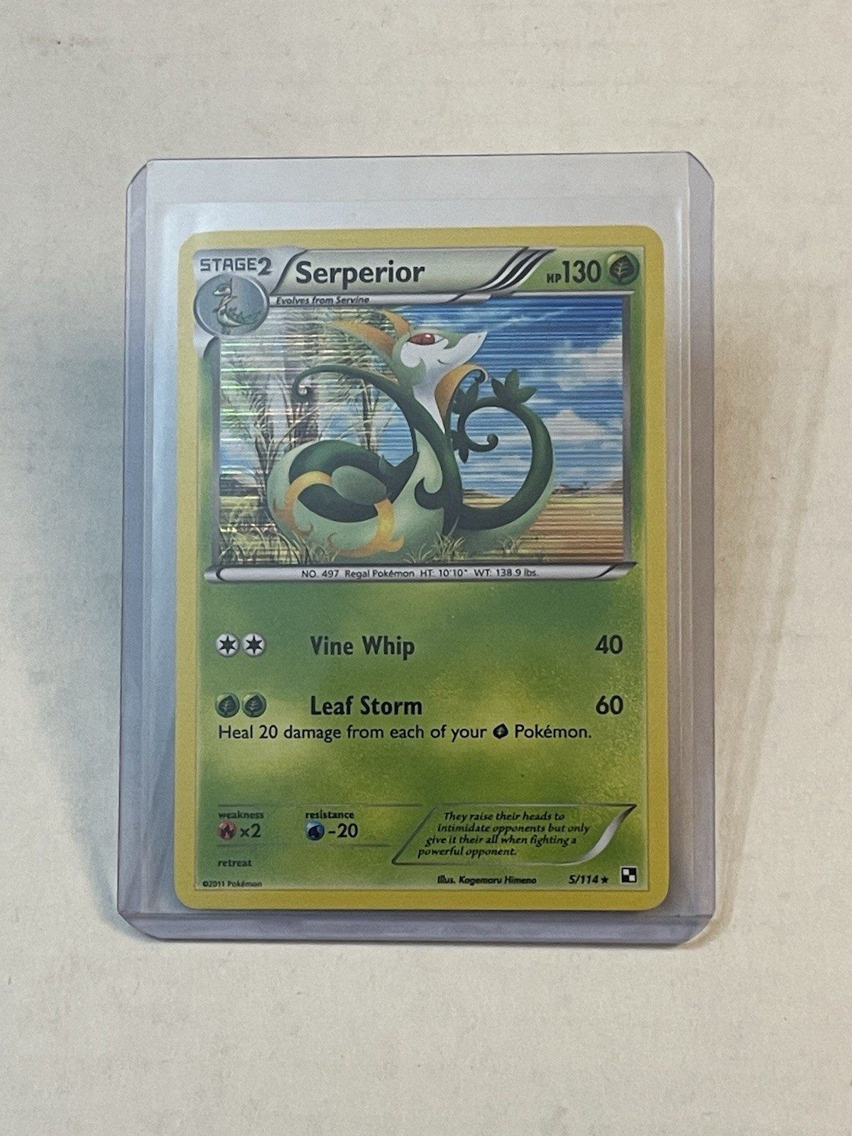 Pokémon TCG Serperior 5/114 Black & White Base Set Holo Rare NM 2011 NICE LOOK!!