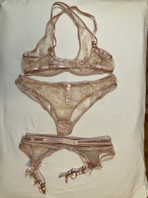 Agent Provocateur Cate bra (36B), briefs (4) and suspenders (4) never worn