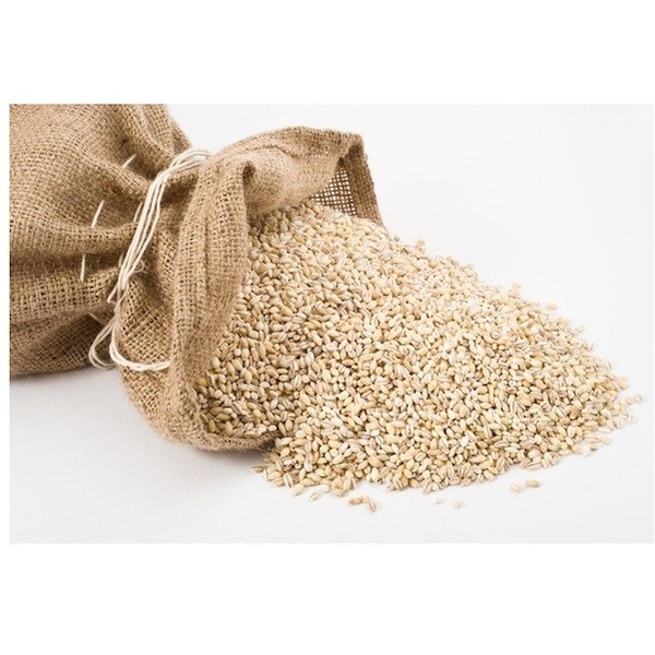 BULK Grains 100 Organic Pearled Barley 25 Lb. for sale online eBay