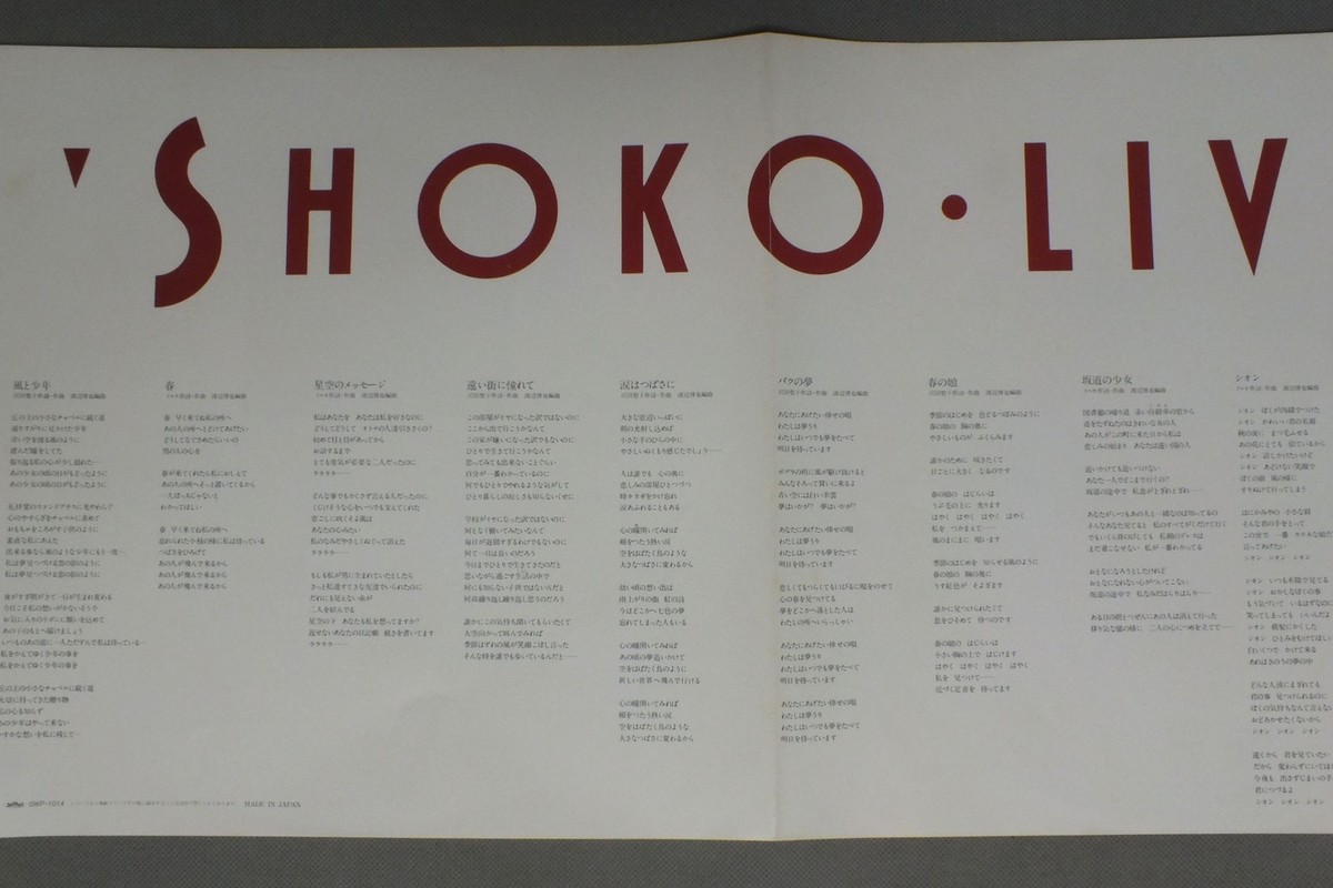 REAL ROCK SEE SAW SCENE VOL.1 レコード【特価】新品 REAL ROCK SEE SAW SCENE VOL.1 レコード【特価】新品