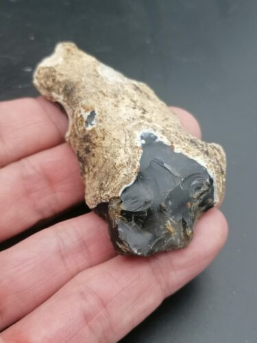Middle Paleolithic Neanderthal Mousterian end-scraper on flake North of France - Afbeelding 1 van 12