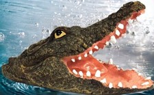 Floating Crocodile head Garden Pond Feature Reptile Alligator Animal Ornament