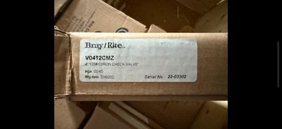 BRAY / RITE CHECK VALVE 4'' CI BODY 125#