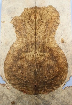 5A Electric Bass Top Golden Camphor Wood Burl Bookmatched Set Luthier Supply