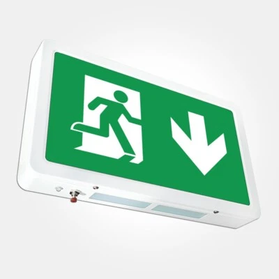 Emergency Exit Sign LED IP20 4W Self Test Down Arrow LiFePO4 Battery LEDBRITE