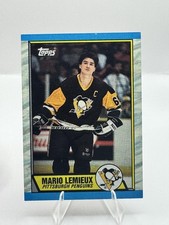Click to enlarge Mario Lemieux