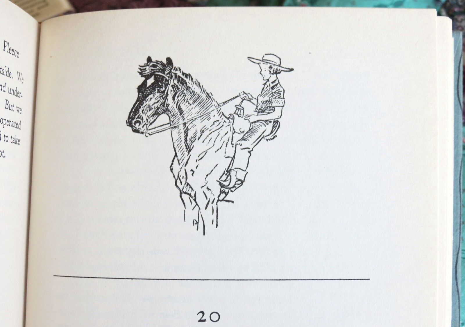 Picture 4 of 10