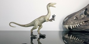 jurassic park coelophysis toy