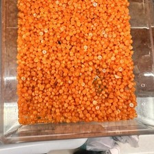 50pcs 3mm Round CAB CABOCHON Natural Orange Stone Stone Beads No Holes