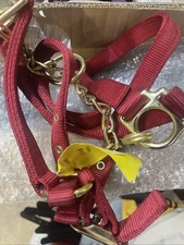 Valhoma Control Cow Halter 17 P  217-176-8 Orscheln Red With Gold Hardware